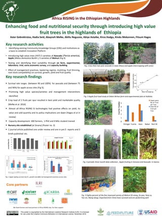 Africa RISING in the Ethiopian Highlands
Fig. 1 Apple sapling survival rate % , growth and effect of management practices across sites
Enhancing food and nutritional security through introducing high value
fruit trees in the highlands of Ethiopia
Aster Gebrekirstos, Hadia Seid, Abayneh Melke, Aklilu Negussie, Abiye Astatke, Kiros Hadgu, Kindu Mekonnen, Fitsum Hagos
Key research activities
• Identifying existing Community knowledge Groups (CKG) and institutions as
a basis to establish Innovation Platform
• Introducing high value trees (HVT) 5 varieties of Avocado (Percia america),
Apple (Malus domestica Borkh ), 5 varieties of Walnut (Fig 4)
• Testing and identifying their suitability through on farm, experimental,
laboratory trial, socio economic survey, and capacity building
• Effect of management practices, (watering regime, mulching, fruit thinning,
root stock compatibility) on survival, growth, yield and fruit quality
Key research findings
 Survival rate ranges (between 90 and 100%) for avocado and (between 75
and 96%) for apple across sites (Fig 3);
 Promising high value species/varieties and management interventions
identified
 Crop load of 2 fruits per spur resulted in best yield and marketable quality
(Melke et al. 2016)
 Almost all Africa RISING SI technologies had positive effects on yield, its
value and sold quantity and its policy implications are dawn (Hagos et al in
review)
 Capacity development: 300 farmers, 1 PhD and 4 MSc student trained
 Nursery site established (at Sinana) (Poster no. 3)
 1 journal article published one under review and one in pre.5 reports and 3
briefs published etc.
Fig. 3 Apple fruit load study at Debre Birhan farm and experimental plot at Holletta
Fig. 5 Eighty percent of the five improved variety of Walnut (Xi xiang, Dx pao, Yana zx,
Yun xin, Niang Qing), imported from China have survived and are performing well.
Fig. 4 periodic three month data collection , Apple fruiting in Sinnana and Avocado in Ganna
Fig. 2 less than two year avocado in Jawe (Hass) and apple intercropping with onion
Core partners
This poster is copyrighted by the International Livestock Research Institute (ILRI). It is licensed
for use under the Creative Commons Attribution 4.0 International Licence. November 2016
We thank farmers and local partners in Africa RISING sites for their support
 