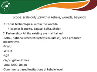 Scope: scale out/up(within kebele, woreda, beyond) 
 For all technologies- within the woreda 
4-kebeles (Sanbitu, Basaso, Selka, Shalo) 
C. Partnership- All the existing are maintained 
-SARC , national research systems (kulumsa), Seed producer 
cooperatives, 
-MWU 
-WBOA 
-AGP 
- W/irrigation Office 
-Local NGO, Union 
-Community based institutions at kebele level 
 
