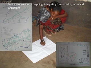 Participatory resource mapping: integrating trees in fields, farms and
landscapes
 