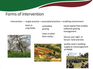Forms of intervention
  Intervention = target practice + associated practices + enabling environment
                 trees in         controlled             social capital that enables
                 crop fields      grazing                collective grazing
                                                         management
                                  trees in other
                                  farm niches            Secure user right or
                                                         tenure land and tree
                                                         quality seed / seedling
                                                         supply or encouragement
                                                         of FMNR
 