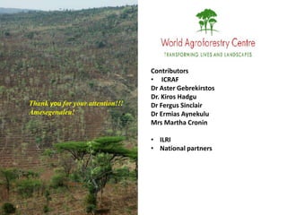 Contributors
                                  • ICRAF
                                  Dr Aster Gebrekirstos
                                  Dr. Kiros Hadgu
Thank you for your attention!!!   Dr Fergus Sinclair
Amesegenaleu!                     Dr Ermias Aynekulu
                                  Mrs Martha Cronin

                                  • ILRI
                                  • National partners
 