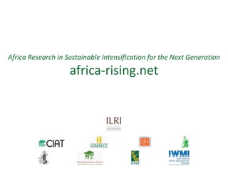 Africa Research in Sustainable Intensification for the Next Generation
                    africa-rising.net
 