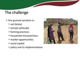 The challenge
 Fine grained variation in:
   soil (biota)
   climate (altitude)
   farming practices
   household characteristics
   market opportunities
   social capital
   policy and its implementation
 