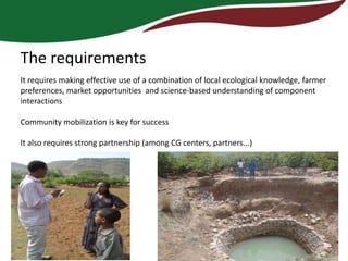The requirements
It requires making effective use of a combination of local ecological knowledge, farmer
preferences, market opportunities and science-based understanding of component
interactions

Community mobilization is key for success

It also requires strong partnership (among CG centers, partners...)
 