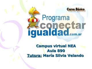 Campus virtual NEA Aula 890 Tutora:  María Silvia Velando  