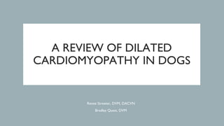 A REVIEW OF DILATED
CARDIOMYOPATHY IN DOGS
Renee Streeter, DVM, DACVN
Bradley Quest, DVM
 