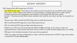 dcm cases in dogs
