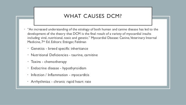 dcm nutrition