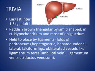 A review of liver anatomy and physiology for anesthesiologists | PPTX