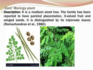 A review of neuroprotective herbs in traditional medicine | PPTX