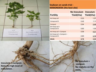 Compost Inoculum A review of research with the “foundations for farming system” of ...