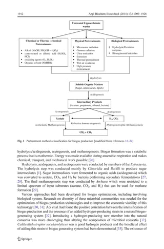 1912 Appl Biochem Biotechnol (2014) 172:1909–1928 
Chemical or Thermo – chemical 
Alkali (NaOH, NH4OH – H2O2) 
concentrated or diluted acid (H2SO4, 
HCl) 
oxidizing agents (O3, H2O2) 
Organic solvent (NMMO) 
Acetogenesis 
Untreated Lignocellulosic 
wastes 
Physical Pretreatments 
Microwave radiation 
Gamma radiation 
Ultra sonication 
Extrusion 
Thermal pretreatment 
Wet air oxidation 
High pressure 
pretreatment 
Hydrolysis 
Soluble Organic Matters 
(Sugar, amino acids, lipids) 
Acidogenesis 
Intermediary Products 
(Acetate, propionate, ethanol, lactate) 
Reductive homoacetogenesis 
Biological Pretreatments 
Hydrolytic/Oxidative 
enzymes 
Bioengineered microbes 
Acetogenesis 
H2, CO2 
Hydrogenotrophic Methanogenesis 
Pretreatments 
Acetate 
CH4 + CO2 
Aceticlastic Methanogenesis 
Fig. 1 Pretreatment methods classification for biogas production [modified from references 16–24] 
hydrolysis/acidogenesis, acetogenesis, and methanogenesis. Biogas formation was a catabolic 
process that is exothermic. Energy was made available during anaerobic respiration and makes 
chemical, transport, and mechanical work possible [26]. 
Hydrolysis, acidogenesis, and acetogenesis were conducted by members of the Eubacteria. 
The hydrolysis step was conducted mainly by Clostridia and Bacilli to produce sugar 
intermediates [1]. Sugar intermediates were fermented to organic acids (acidogenesis) which 
was converted to acetate, CO2, and H2 by bacteria performing secondary fermentations [27, 
28]. The final methanogenesis step was conducted by Archaea which were restricted to a 
limited spectrum of input substrates (acetate, CO2, and H2) that can be used for methane 
formation [29]. 
Various approaches had been developed for biogas optimization, including involving 
biological system. Research on diversity of these microbial communities was needed for the 
optimization of biogas production technologies and to improve the economic viability of this 
technology [30, 31]. Acs et al. had found the positive correlation between the intensification of 
biogas production and the presence of an added hydrogen-producing strain in a natural biogas-generating 
system [32]. Introducing a hydrogen-producing new member into the natural 
consortia was more challenging than altering the composition of microbial consortia [32]. 
Caldicellulosiruptor saccharolyticus was a good hydrogen producer and the beneficial effect 
of adding this strain to biogas generating system had been demonstrated [33]. The existence of 
 