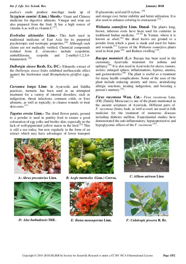A review on_some_traditional_medicinal_plants