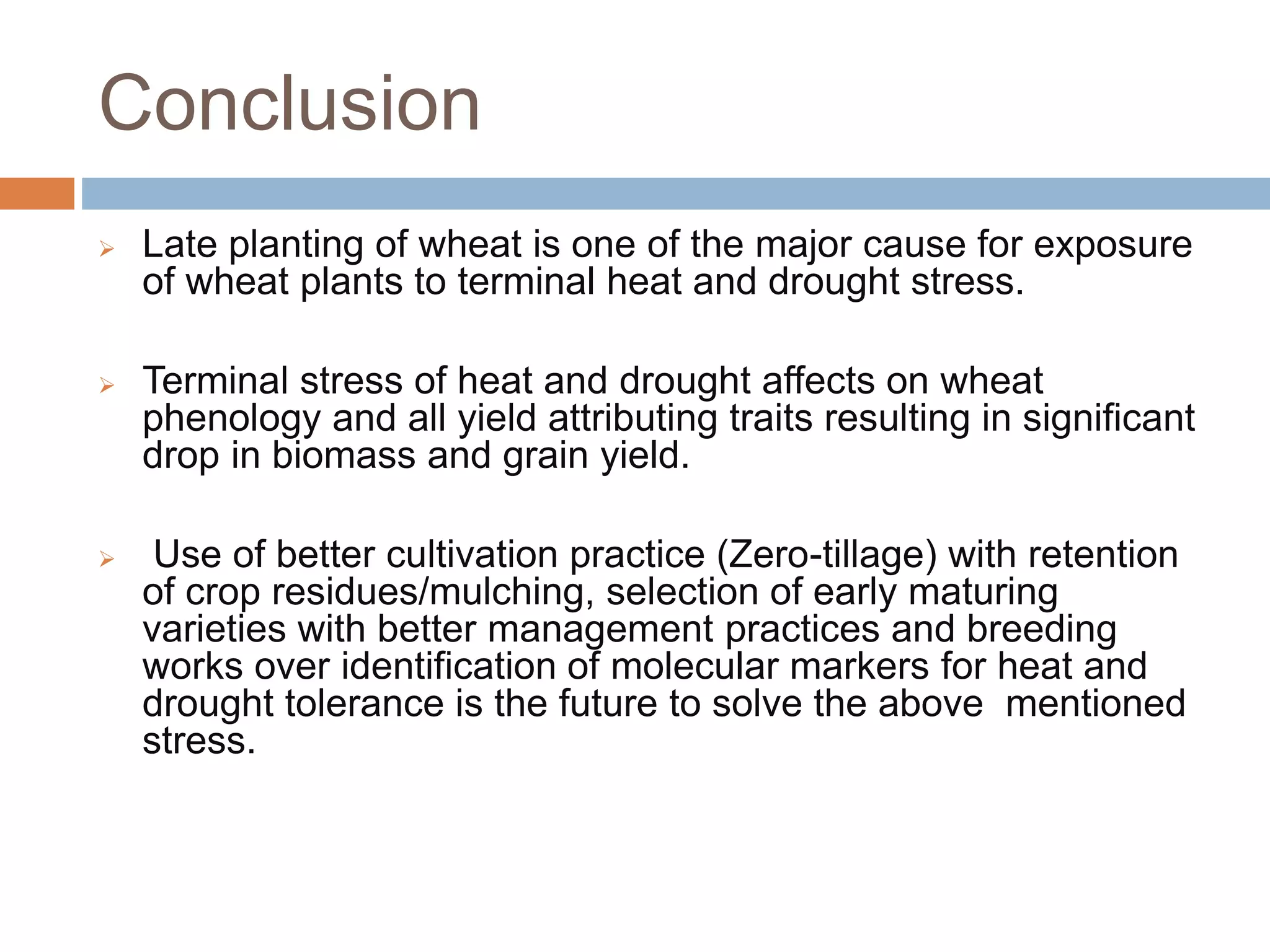 Drought and heat stress in late sown wheat and mitigation strategies | PPTX