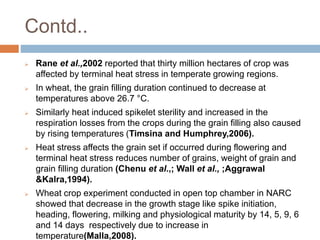 Drought and heat stress in late sown wheat and mitigation strategies | PPTX
