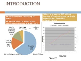 Drought and heat stress in late sown wheat and mitigation strategies | PPTX