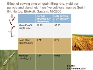 Drought and heat stress in late sown wheat and mitigation strategies | PPTX