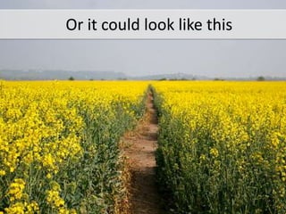 Or it could look like this
 