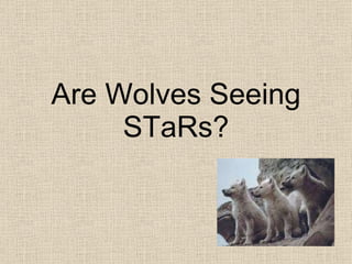 Are Wolves Seeing STaRs? 