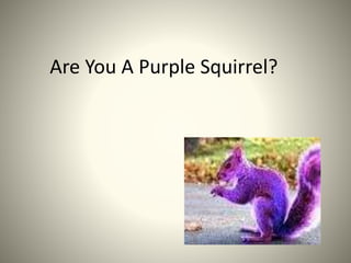 Are You A Purple Squirrel? 
 