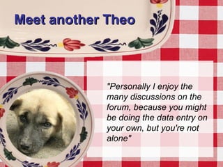 Meet another TheoMeet another Theo
"Personally I enjoy the
many discussions on the
forum, because you might
be doing the data entry on
your own, but you're not
alone"
 