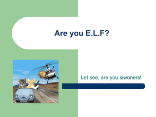Are you E.L.F?




      Let see, are you siwoners!
 