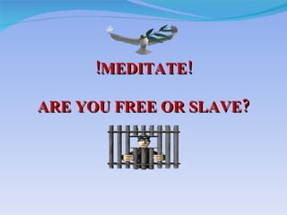 !MEDITATE! ARE YOU FREE OR SLAVE? 