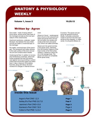 ANATOMY & PHYSIOLOGY
        WEEKLY
        Volume 1, Issue 2                                                                    10.29.12



        Written by– Agron
Dura mater: made of strong white fi-           ment.                                Functions: The spinal cord per-
brous tissue, serves as the outer layer of                                          forms two general functions.
the meninges and also as the inner peri-       Where is it found : cerebrospinal
                                                                                    Briefly, it provides conduction
osteum of the cranial bones.                   fluid is found in the subarachnoid
                                                                                    routes to and from the brain and
                                               space around the brain and spi-
                                                                                    serves as the integrator, or reflex
Arachnoid membrane, a delicate, coweb          nal cord within the cavities and
                                                                                    center, for all spinal reflexes (2)
like-layer, lies between the dura matter       canals of the brain and spinal
and the pia matter or innermost layer of       cord. Which are called ventricles
the meninges
                                               Spinal cord: the spinal cord lies
Pia matter: innermost layor of the menin-      in the spinal cavity, extending
ges. The transparent pia matter adheres        from the foramen magnum to the
to the outer surface of the brain and spi-     lower border of the first lumbar
nal cord and contains blood vessels            vertebra, a distance of about 45
                                               cm in the average body. The
Cerebrospinal fluid: In addition to its bony   spinal cord does not completely
and membranous coverings, nature has           fill the spinal cavity.
further protected the brain and spinal
cord against injury by providing a cushion
of fluid both around the organs and within
them, it also a reservoir of circulating
fluid that, along with blood, the brain
monitors for changes in internal environ-                                                     © (12)

                                               © (12)

                                                                              © (12)


                                                                                                  © (12)


              © (12)
                                                                                                                          © (12)


        Inside this Issue

                Argon’s Part CNS 1,2,3                                                      Page 1
                Ashley B’s Part PNS 5,6,7,8                                                 Page 2

                Jasmine’s Part CNS 4,5,6                                                    Page 3
                Kamiera’s Part CNS 7,8,9                                                    Page 4
                Colton’s Part PNS 1,2,3,4                                                   Page 5
 