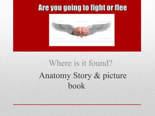Where is it found?
Anatomy Story & picture
      book
 
