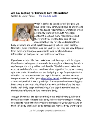 Are You Looking For Chinchilla Care Information?
Written By: Lindsey Perkins --- The Chinchilla Guide


                      When it comes to taking care of our pets we
                      have to be really careful and have to understand
                      their needs and requirements. Chinchillas which
                      are mostly found in the South American
                      continent also have many requirements and
                      therefore if you want to take care of your
                      chinchilla than you have to understand their
body structure and what exactly is required to keep them healthy.
Normally, these chinchillas look like squirrels but they are very different
from them and therefore you need to look for chinchilla care
information so that you can take better care of them.

If you have a chinchilla than make sure that the cage is a little bigger
than the normal cages as these rodents are agile and keeping them in a
confine space is not good for their health. Chinchillas need extensive
exercise and therefore you need to make a cage that has more running
space for them. Also when you are designing a cage for your pet make
sure that the temperature of the cage is balanced because extreme
temperatures can affect your chinchilla’s health and they can easily get
a heatstroke which is not a good sign. The reason why they easily get a
heatstroke is because chinchillas don’t sweat and therefore the heat
inside their body keeps on increasing if the cage is too compact and
there is no sufficient air flow to cool the body.

Though, chinchillas are agile and they move around very quickly and
they are excellent jumpers their body structure is very fragile. Hence,
you need to handle them very carefully because if you put pressure on
their soft body chances of body damage are higher. If you want to pull
                    Are You Looking for Chinchilla Care Information
 