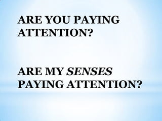ARE YOU PAYING
ATTENTION?


ARE MY SENSES
PAYING ATTENTION?
 