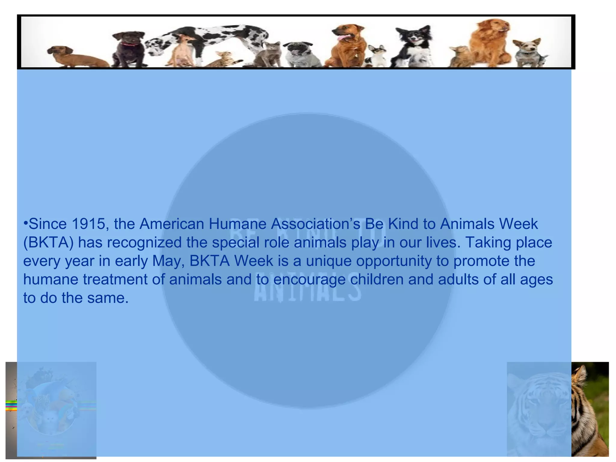 Are you ready for be kind to animals week | PPT