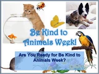 Are You Ready for Be Kind to
Animals Week?

 