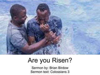 Are you Risen?
Sermon by: Brian Birdow
Sermon text: Colossians 3
 