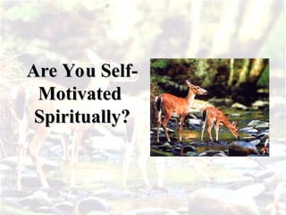 Are You Self-
Are You Self-
Motivated
Motivated
Spiritually?
Spiritually?
 