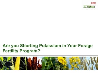 Are you Shorting Potassium in Your Forage
Fertility Program?
 