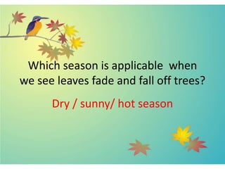 Which season is applicable when
we see leaves fade and fall off trees?
Dry / sunny/ hot season
 