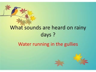What sounds are heard on rainy
days ?
Water running in the gullies
 