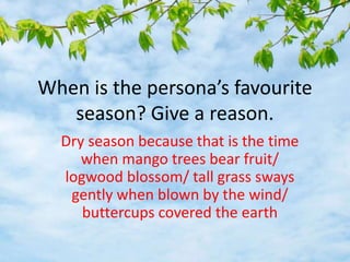 When is the persona’s favourite
season? Give a reason.
Dry season because that is the time
when mango trees bear fruit/
logwood blossom/ tall grass sways
gently when blown by the wind/
buttercups covered the earth
 