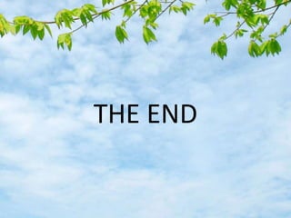 THE END
 