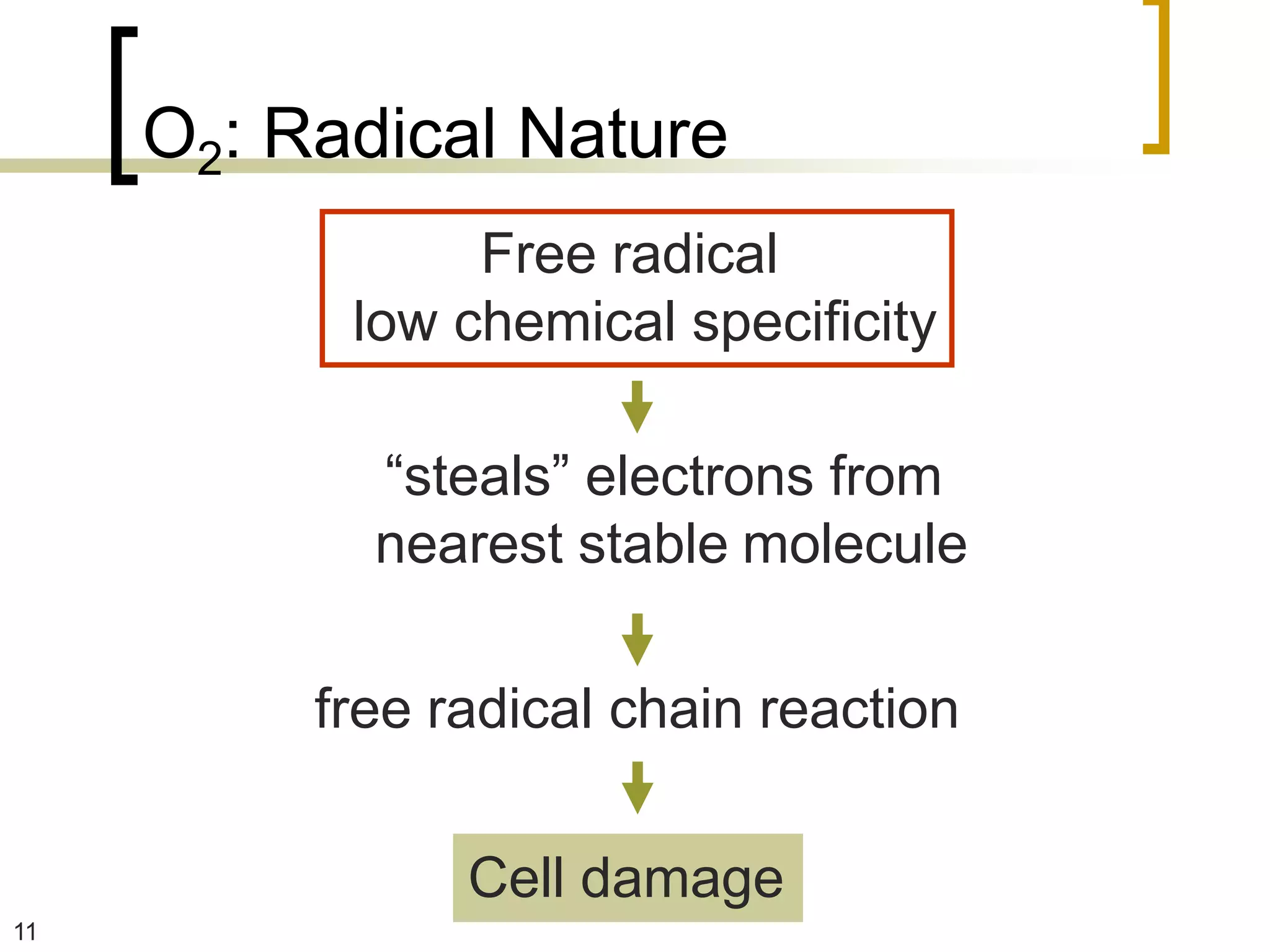 O2: Radical Nature
                Free radical
           low chemical specificity

            “steals” electrons from
            nearest stable molecule

          free radical chain reaction

                Cell damage
11
 