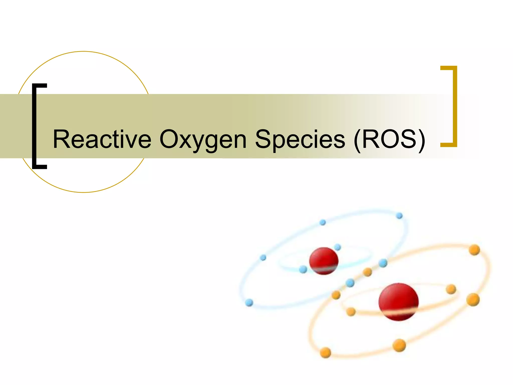 Reactive Oxygen Species (ROS)
 