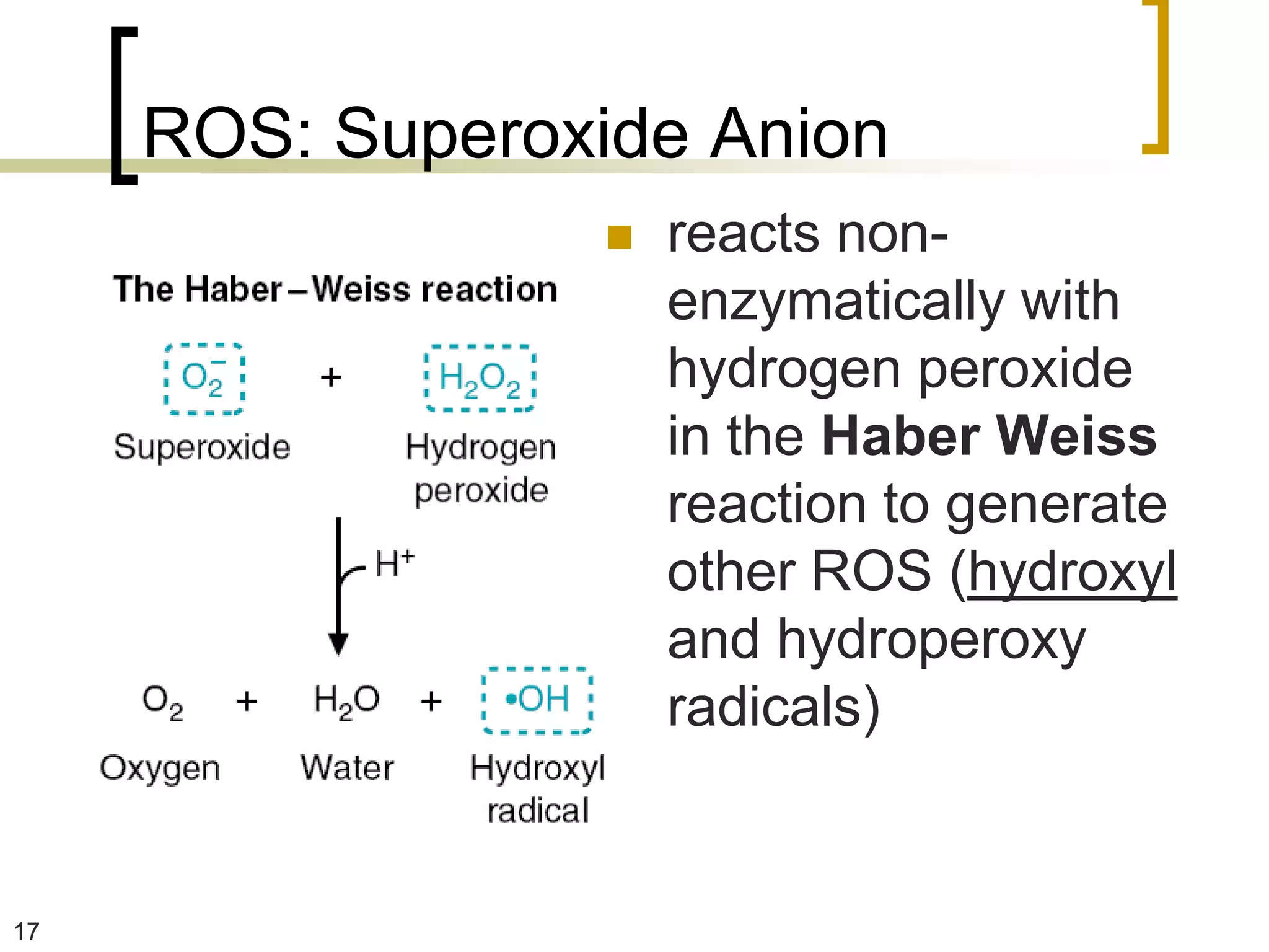 ROS: Superoxide Anion
                    reacts non-
                     enzymatically with
                     hydrogen peroxide
                     in the Haber Weiss
                     reaction to generate
                     other ROS (hydroxyl
                     and hydroperoxy
                     radicals)


17
 