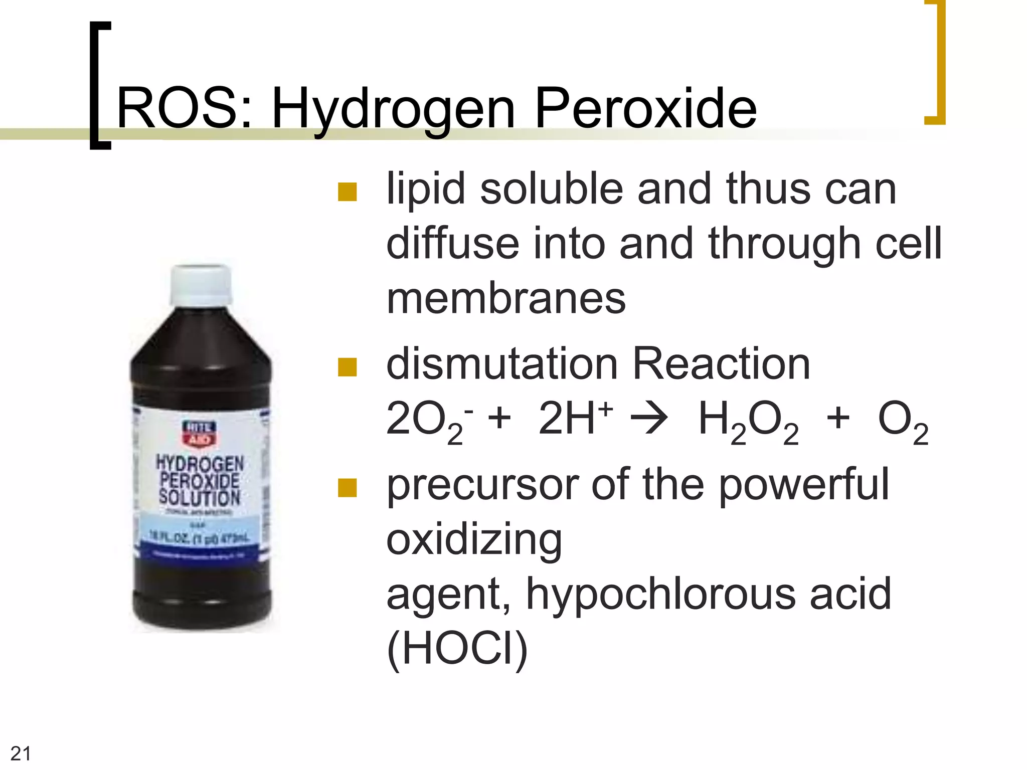 ROS: Hydrogen Peroxide
               lipid soluble and thus can
                diffuse into and through cell
                membranes
               dismutation Reaction
                2O2- + 2H+  H2O2 + O2
               precursor of the powerful
                oxidizing
                agent, hypochlorous acid
                (HOCl)

21
 