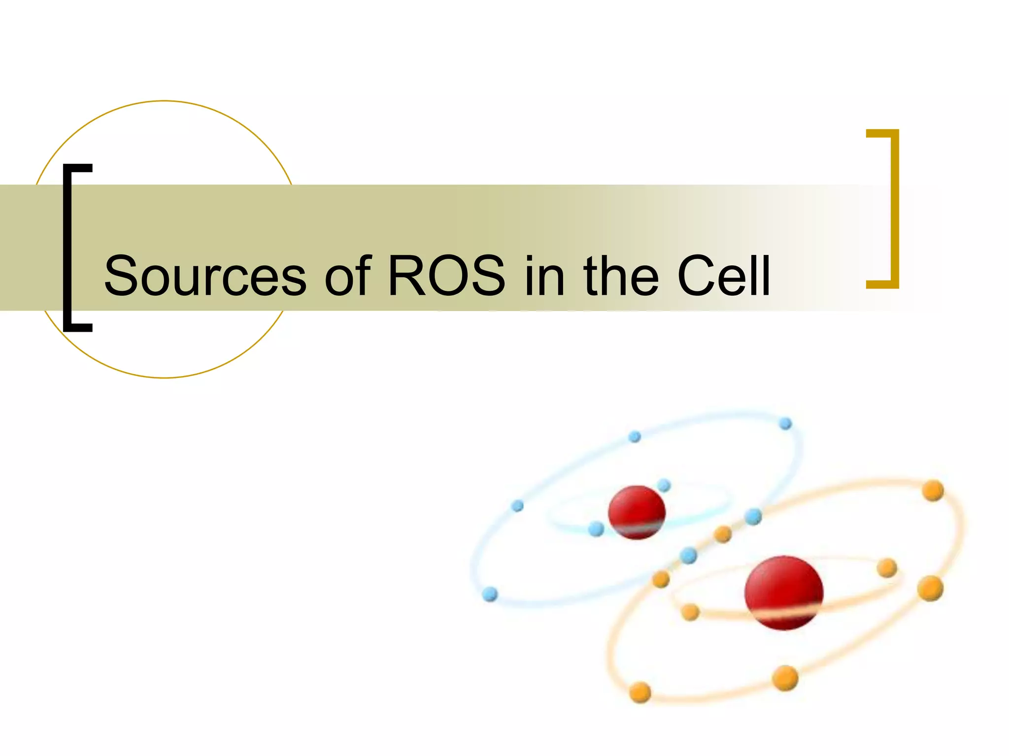 Sources of ROS in the Cell
 