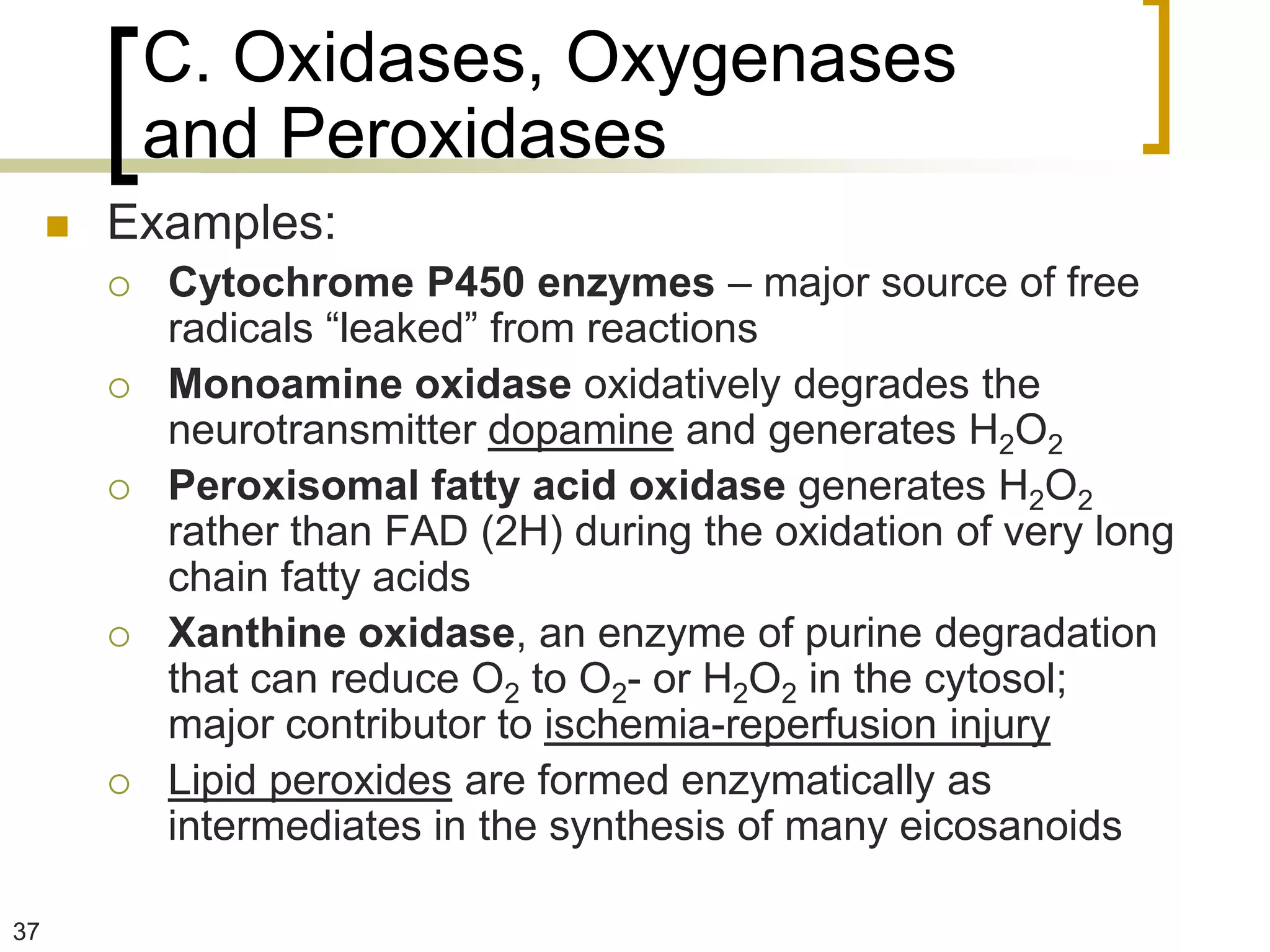 C. Oxidases, Oxygenases
             and Peroxidases
        Examples:
            Cytochrome P450 enzymes – major source of free
             radicals “leaked” from reactions
            Monoamine oxidase oxidatively degrades the
             neurotransmitter dopamine and generates H2O2
            Peroxisomal fatty acid oxidase generates H2O2
             rather than FAD (2H) during the oxidation of very long
             chain fatty acids
            Xanthine oxidase, an enzyme of purine degradation
             that can reduce O2 to O2- or H2O2 in the cytosol;
             major contributor to ischemia-reperfusion injury
            Lipid peroxides are formed enzymatically as
             intermediates in the synthesis of many eicosanoids

37
 