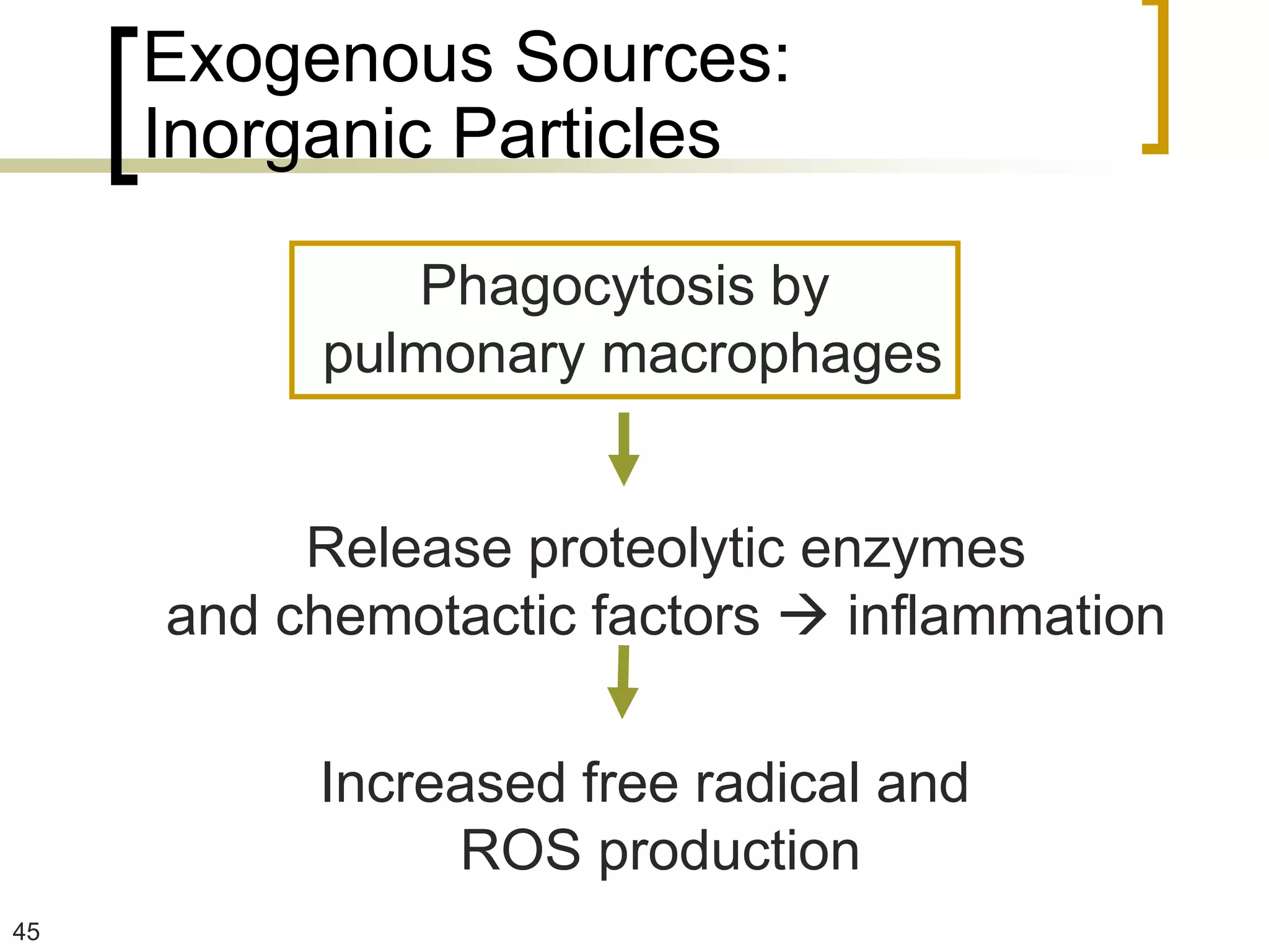 Exogenous Sources:
     Inorganic Particles

             Phagocytosis by
          pulmonary macrophages


          Release proteolytic enzymes
     and chemotactic factors  inflammation

          Increased free radical and
               ROS production
45
 
