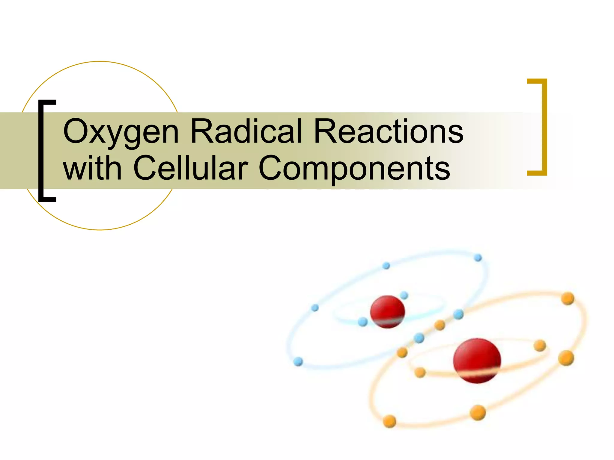 Oxygen Radical Reactions
with Cellular Components
 
