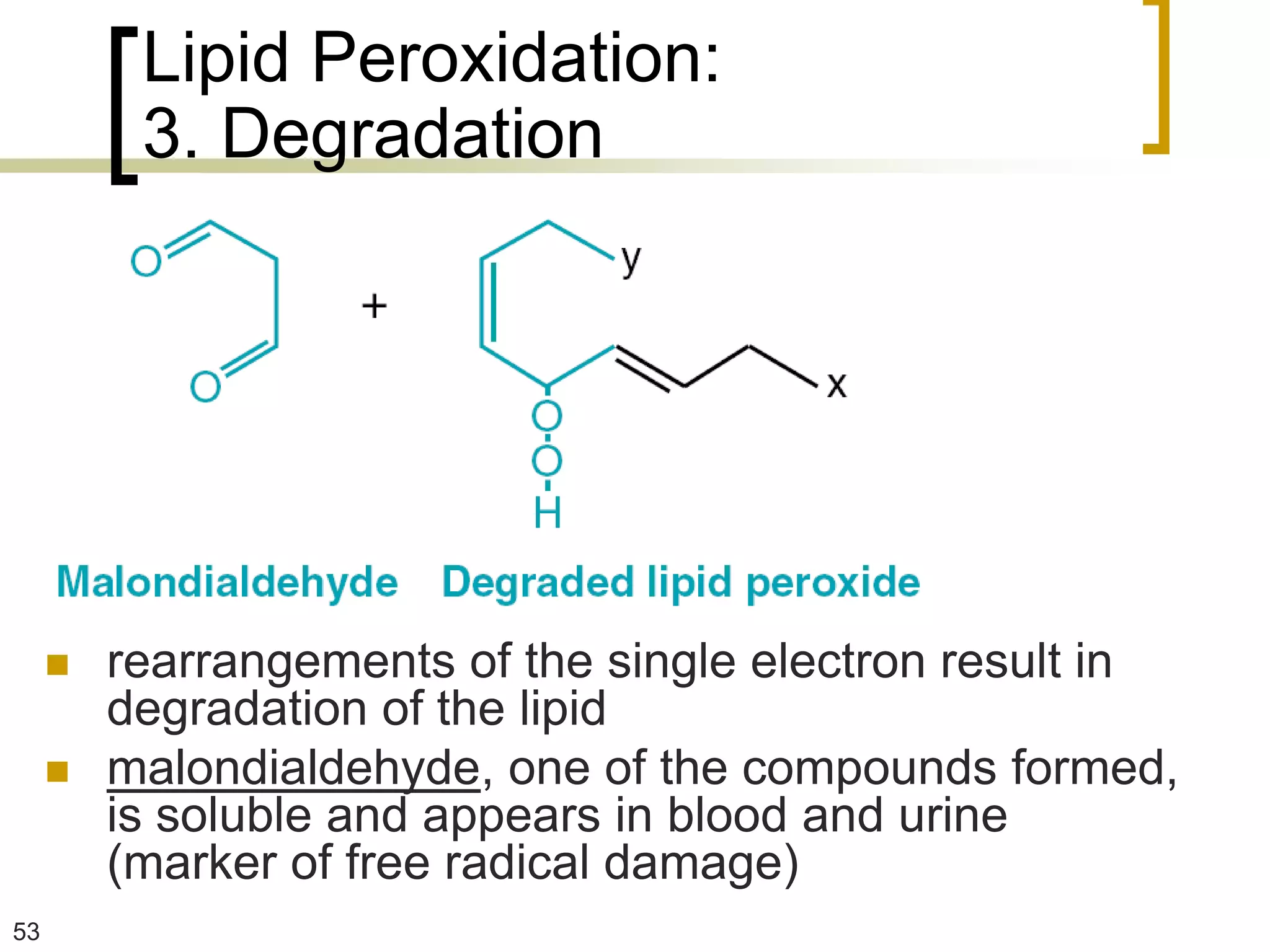 Lipid Peroxidation:
          3. Degradation




        rearrangements of the single electron result in
         degradation of the lipid
        malondialdehyde, one of the compounds formed,
         is soluble and appears in blood and urine
         (marker of free radical damage)
53
 