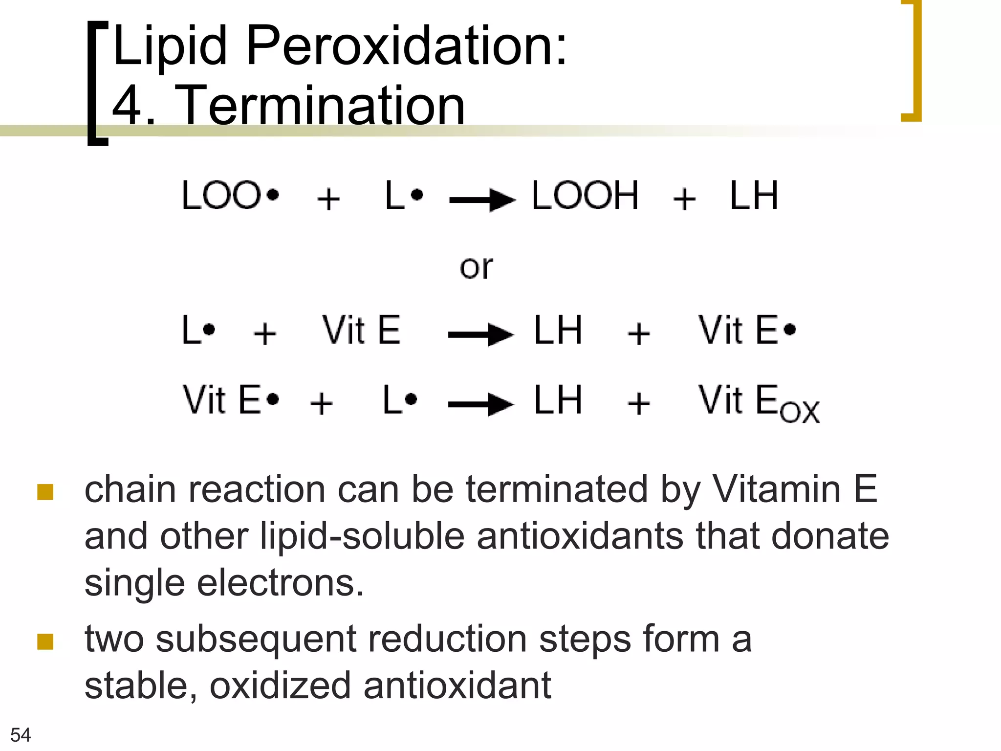 Lipid Peroxidation:
          4. Termination




        chain reaction can be terminated by Vitamin E
         and other lipid-soluble antioxidants that donate
         single electrons.
        two subsequent reduction steps form a
         stable, oxidized antioxidant
54
 